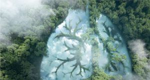 Environmental Health