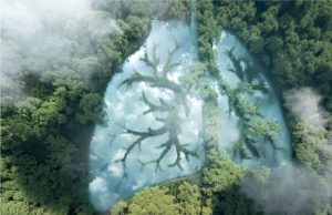 Environmental Health