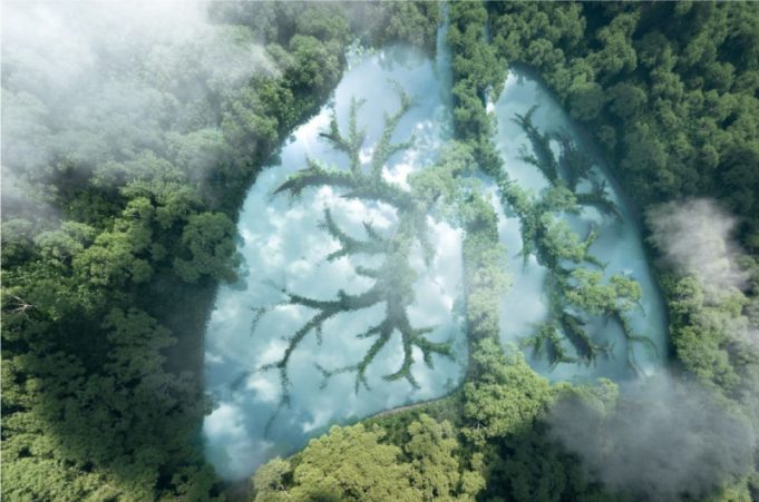 Environmental Health