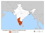 Plantations and the risks of KFD