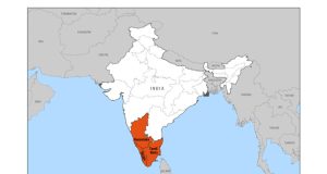 Plantations and the risks of KFD