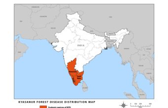 Plantations and the risks of KFD