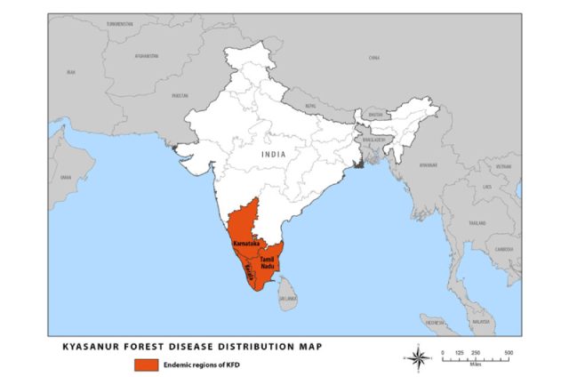 Plantations and the risks of KFD